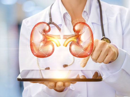 Nephrology